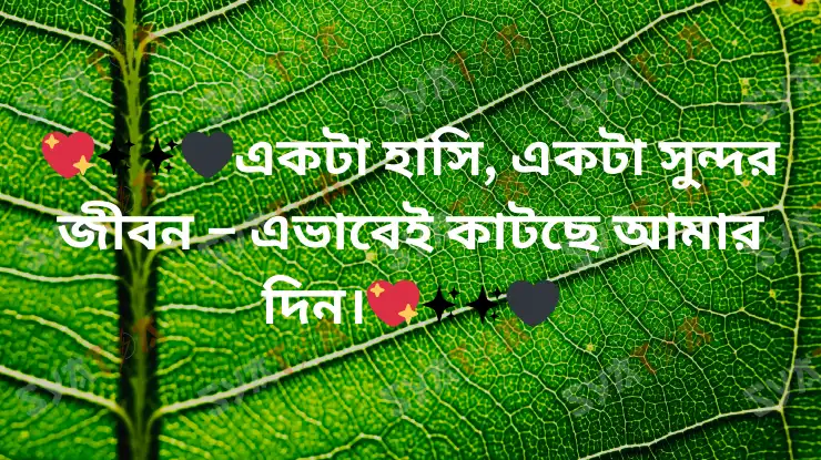 স্টাইলিশ-বেস্ট-ক্যাপশন-বাংলা-2024-Bangla-Caption-For-Facebook-6