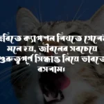 অবাক করা ফেসবুক স্ট্যাটাস