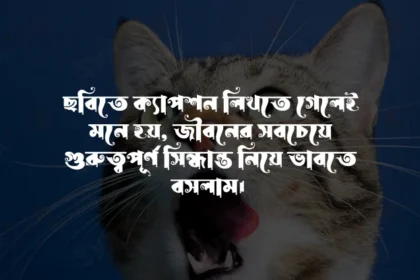 অবাক করা ফেসবুক স্ট্যাটাস