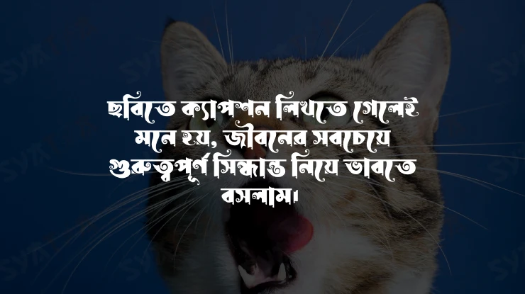 অবাক করা ফেসবুক স্ট্যাটাস