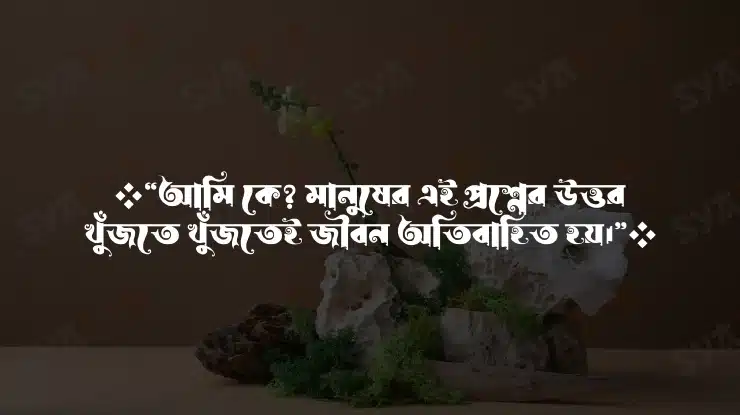 নিজেকে নিয়ে ক্যাপশন