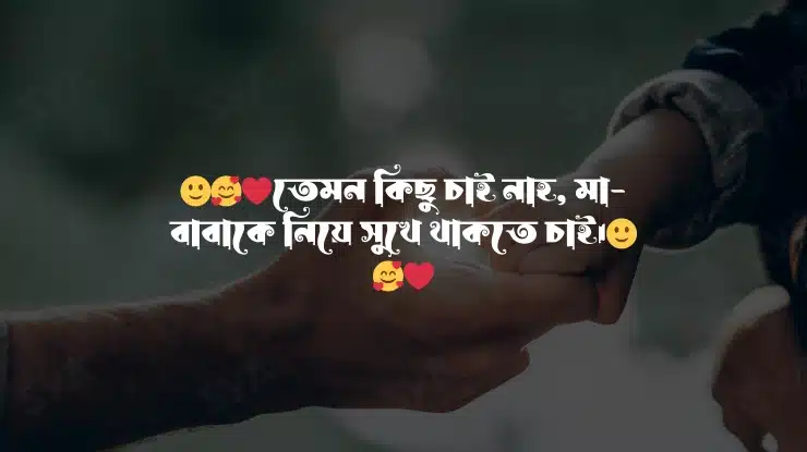 ক্যাপশন