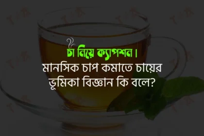 চা নিয়ে ক্যাপশন