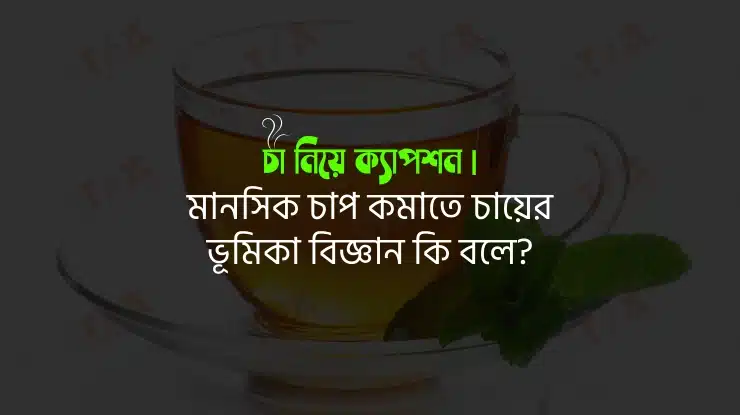 চা নিয়ে ক্যাপশন