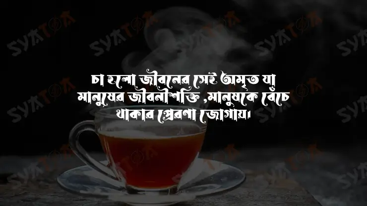 চা বাগান নিয়ে ক্যাপশন