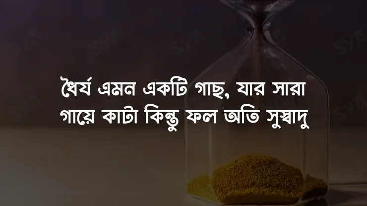 ধৈর্য ও সফলতা নিয়ে উক্তি