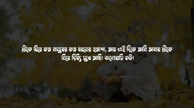 বউয়ের মন ভালো করার মেসেজ