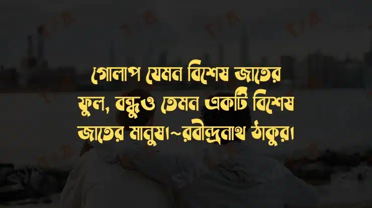 বন্ধু নিয়ে স্ট্যাটাস